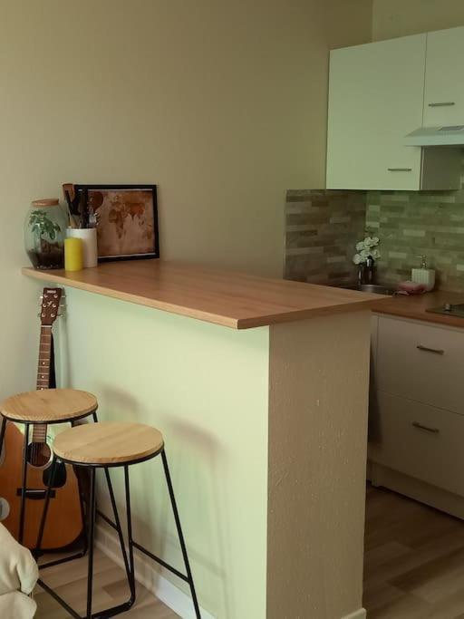 Le Doubs Cosy Apartment Besancon Bagian luar foto